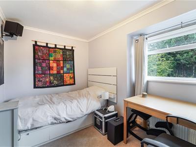 Picture 25